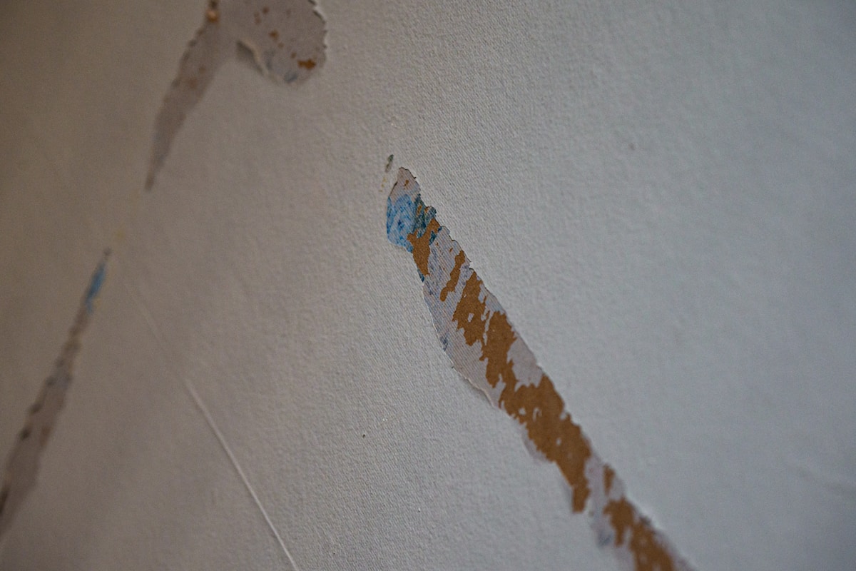 Flood Cleanup service in Yuba City, CA